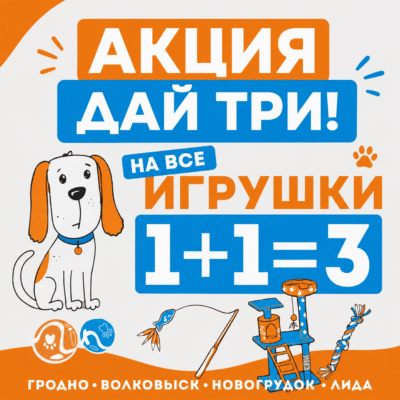 Акция «Дай три!» — 1+1=3 на все игрушки