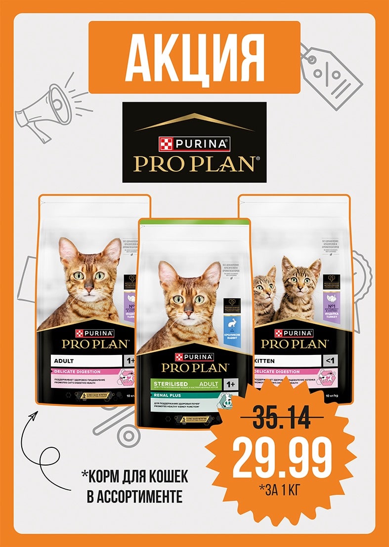 Акция PRO PLAN